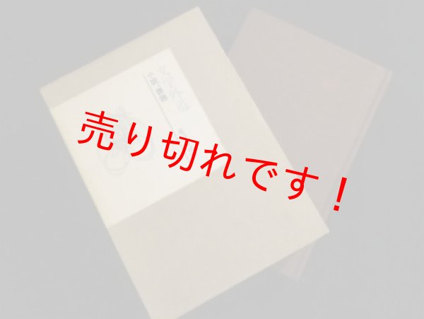 画像1: 文学外道　小説と課題　薬師寺章明 (1)