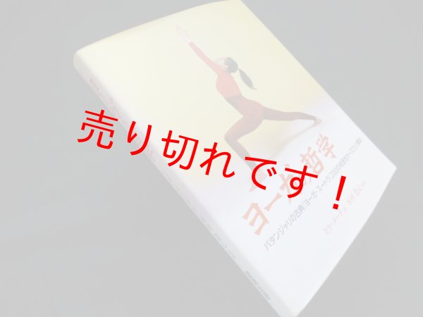 画像1: ヨーガの哲学―パタンジャリの古典『ヨーガ・スートラ』200の格言をポーズごとに解明　太田直子訳 (1)