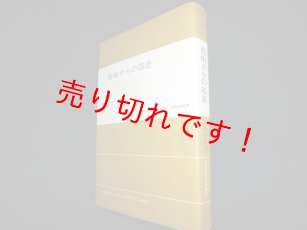 画像1: 自由からの逃走（現代社会科学叢書）　エーリッヒ・フロム　日高六郎訳 (1)