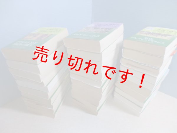 画像2: 世界の歴史 文庫版 全30冊セット（中公文庫）　大貫良夫 他 (2)