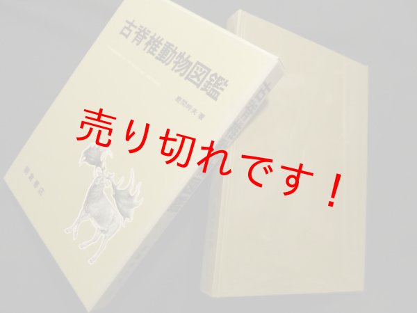 画像1: 古脊椎動物図鑑　鹿間時夫 (1)