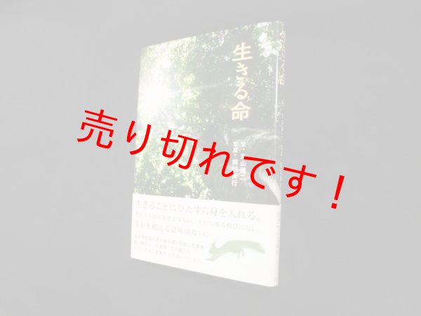 画像1: 生きる命 丸山健二 文/ 前川貴行 写真 (1)