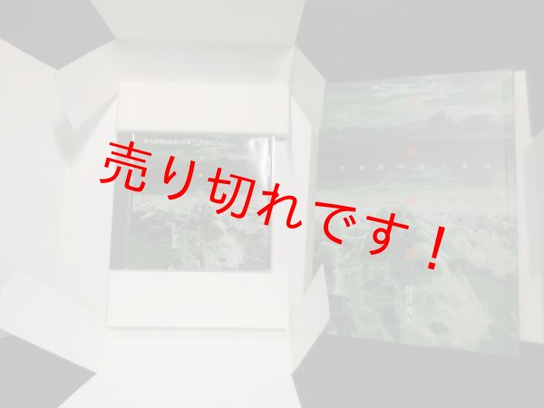 画像2: 声の祝祭―日本近代詩と戦争 平井秀人 (2)