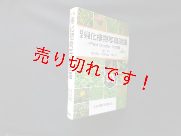 画像1: 日本帰化植物写真図鑑―Plant invader600種　清水矩宏 他 (1)