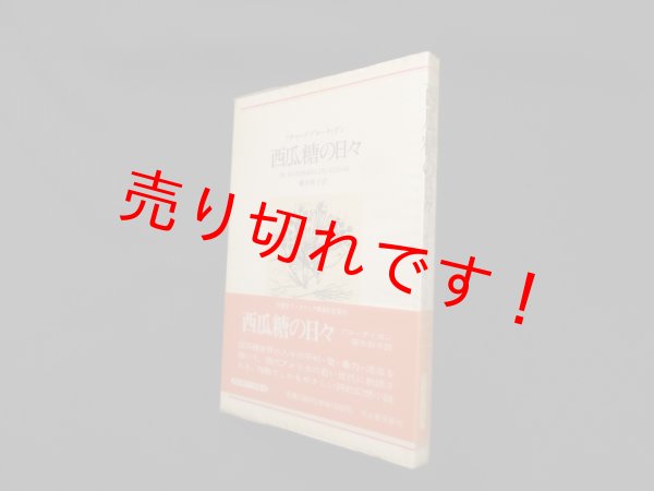 画像1: 西瓜糖の日々 (河出海外小説選 29)　ブローティガン/藤本和子 訳 (1)