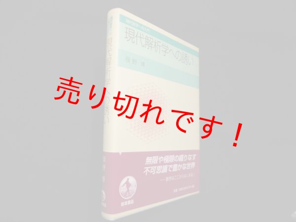 画像1: 現代解析学への誘い (現代数学への入門)　俣野博 (1)