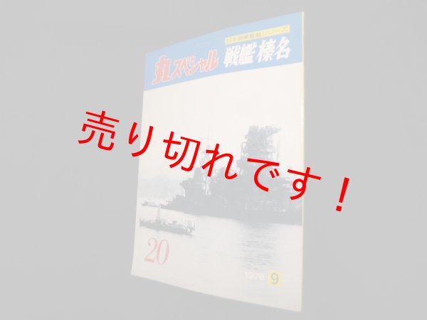 画像1: 丸スペシャル　20　戦艦榛名（日本海軍艦艇シリーズ） (1)