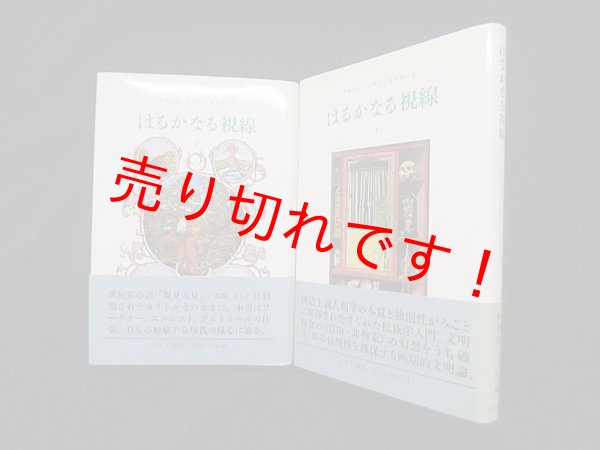 画像1: はるかなる視線　1・2 2冊セット　レヴィ＝ストロース/三保元 訳 (1)