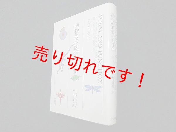 画像1: 動物の形態学と進化　E・S・ラッセル/坂井建雄 訳 (1)