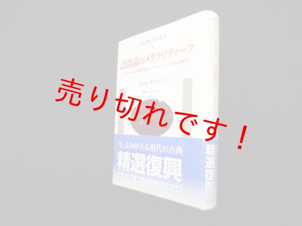 画像1: 認識論のメタクリティーク―フッサールと現象学的アンチノミーにかんする諸研究 (叢書・ウニベルシタス)　テオドーア・W.アドルノ/古賀徹 他訳 (1)