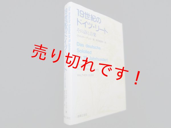 画像1: 19世紀のドイツ・リート　その詩と音楽　ヴァルター・デュル/喜多尾道冬 訳 (1)