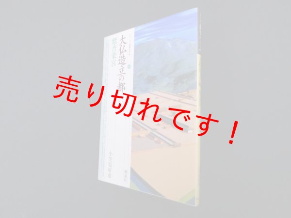 画像1: 大仏造立の都―紫香楽宮（シリーズ「遺跡を学ぶ」)　小笠原好 (1)