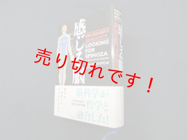 画像1: 感じる脳 情動と感情の脳科学 よみがえるスピノザ　アントニオ.R.ダマシオ 著/田中三彦 訳 (1)