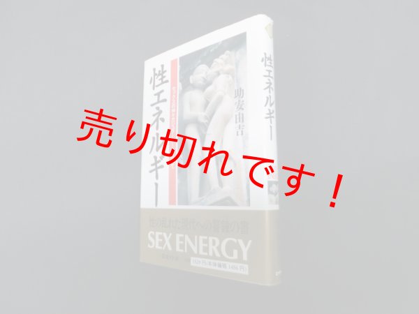 画像1: 性エネルギー―セックスの神々カジュラーホーを訪ねて　助安由吉 (1)