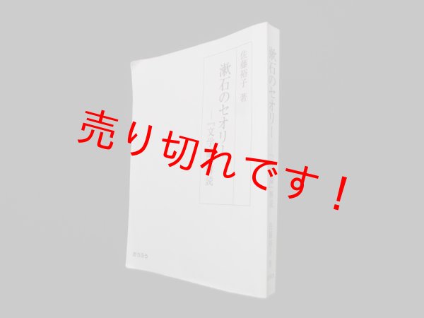 画像1: 漱石のセオリー―『文学論』解読　佐藤裕子 (1)