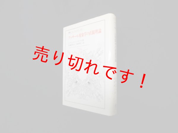 画像1: フッサール現象学の直観理論 (叢書・ウニベルシタス)　エマニュエル・レヴィナス 著/佐藤真理人, 桑野耕三 訳 (1)