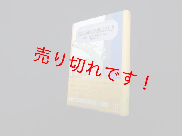 画像1: 野に雁の飛ぶとき (キャンベル選集)　ジョーゼフ・キャンベル 著/武舎るみ 訳 (1)