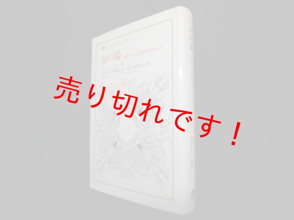 画像1: 力の場―思想史と文化批判のあいだ (叢書・ウニベルシタス ）　マーティン・ジェイ/今井道夫 他訳 (1)