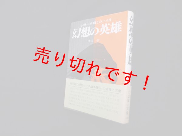 画像1: 幻想の英雄　津田信 (1)