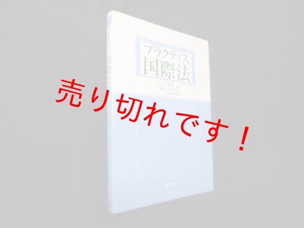 画像1: プラクティス国際法　香西茂 他 (1)