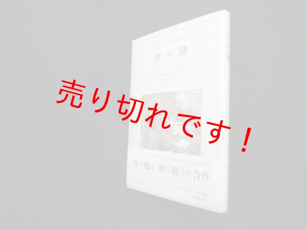 画像1: 金の鍵　ジョージ・マクドナルド 作/モーリス・センダック 絵/脇明子 訳 (1)