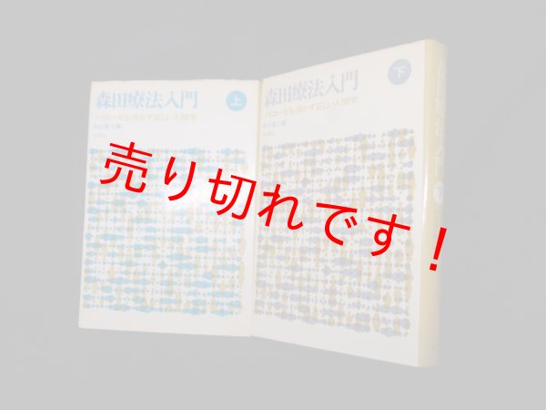 画像1: 森田療法入門―ノイローゼを活かす正しい人間学 上下2冊セット　水谷啓二 編 (1)