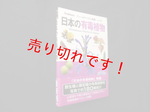 画像1: 日本の有毒植物（フィールドベスト図鑑16）　佐竹元吉 監修 (1)