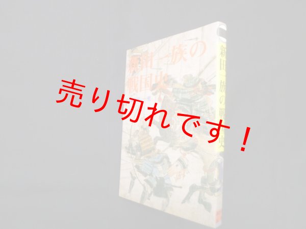 画像1: 新田一族の戦国史　久保田順一 (1)