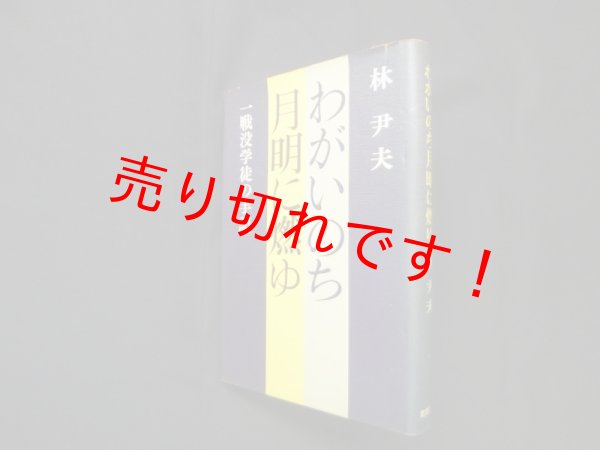 画像1: わがいのち月明に燃ゆ　一戦没学徒の手記　林尹夫 (1)