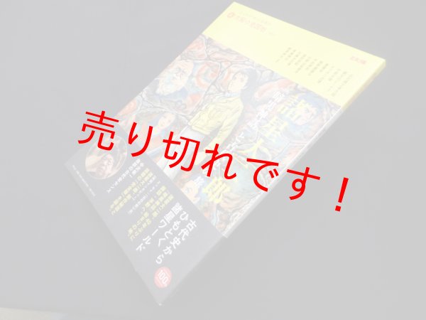 画像1: 諸星大二郎 『暗黒神話』と古代史の旅 (別冊太陽 太陽の地図帖 27)　 (1)