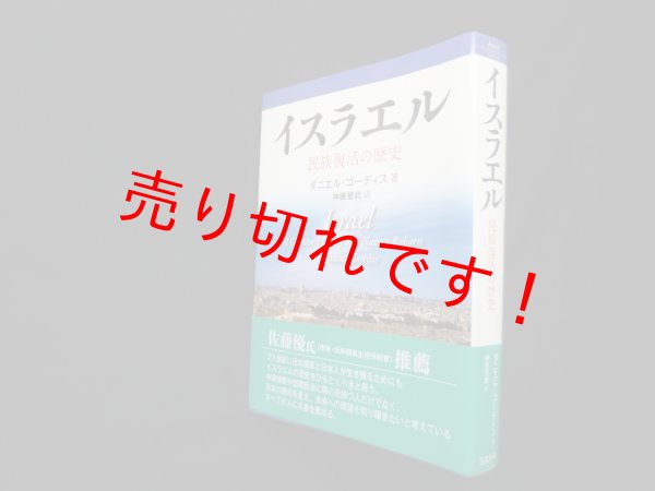 画像1: イスラエル―民族復活の歴史ダニエル・ゴーディス/神藤誉武 訳 (1)