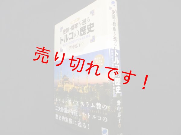 画像1: 史跡・都市を巡るトルコの歴史	野中恵子 (1)