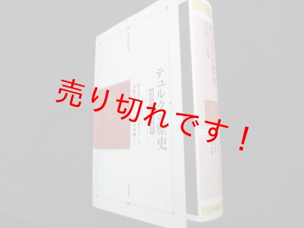 画像1: テュルクの歴史　古代から近現代まで (世界歴史叢書)　カーター・V・フィンドリー　小松久男監訳 (1)