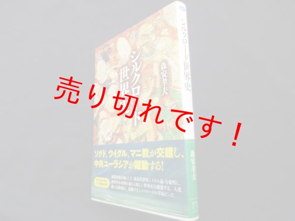 画像1: シルクロード世界史 (講談社選書メチエ 733)　森安孝夫 (1)