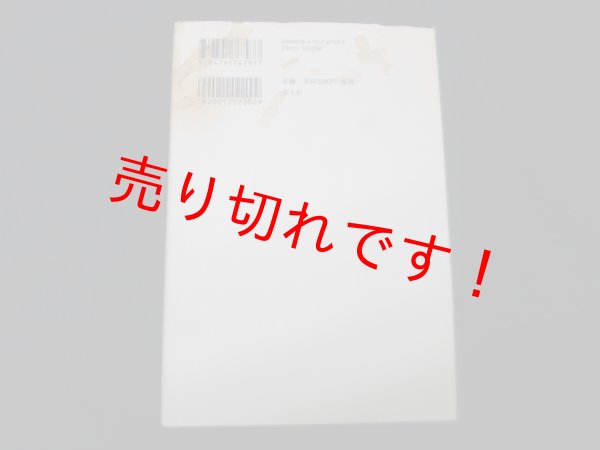 画像2: 帝国の構造  中心・周辺・亜周辺	柄谷行人 (2)