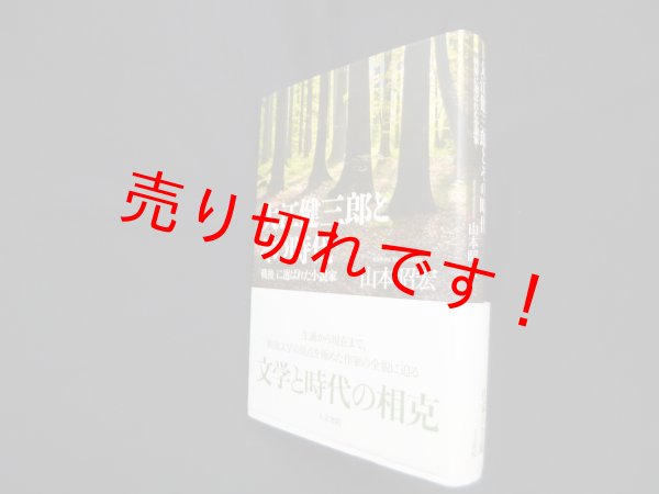 画像1: 大江健三郎とその時代―「戦後」に選ばれた小説家　山本昭宏 (1)