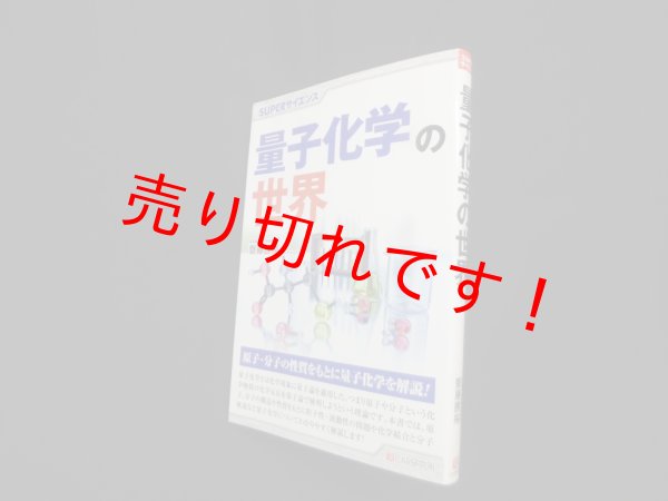 画像1: SUPERサイエンス　量子化学の世界　齋藤勝裕 (1)