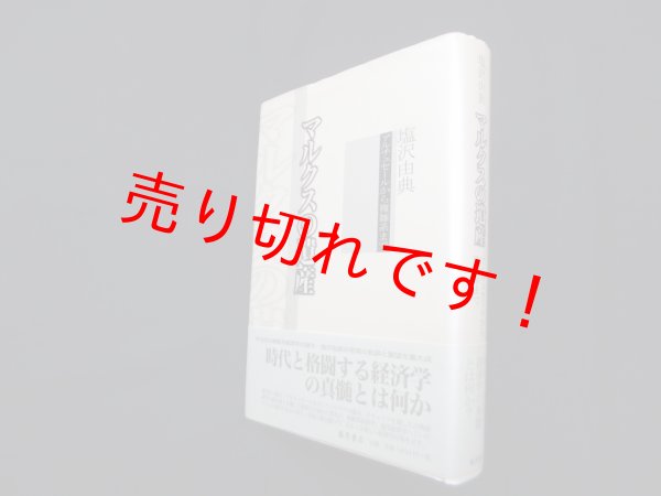 画像1: マルクスの遺産―アルチュセールから複雑系まで　塩沢良典 (1)