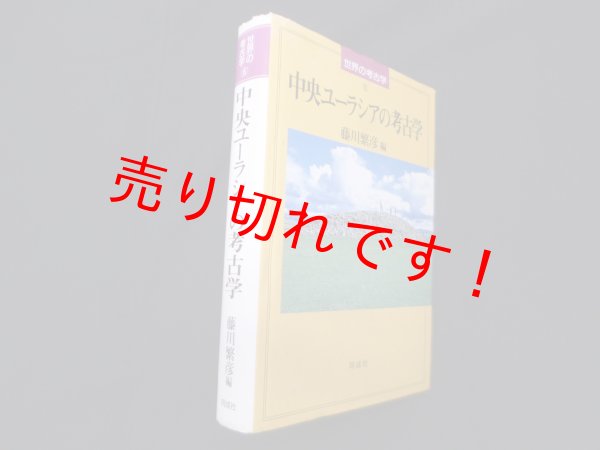 画像1: 中央ユーラシアの考古学(世界の考古学)　藤川繁彦 編 (1)