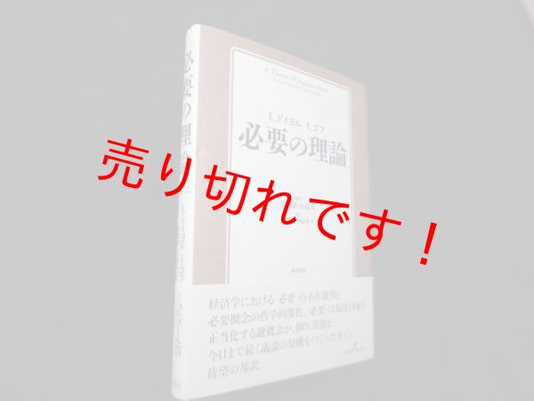 画像1: 必要の理論　L.ドイヨル 他/馬嶋裕 他訳 (1)