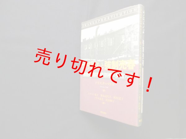 画像1: ナチズムと強制売春―強制収容所特別棟の女性たち　クリスタ・パウル/イエミン恵子 他訳 (1)