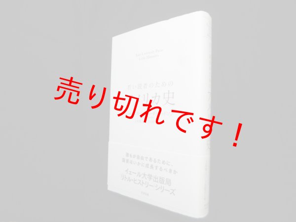 画像1: 若い読者のためのアメリカ史　ジェームズ・ウエスト・デイビッドソン/上杉隼人 他訳 (1)