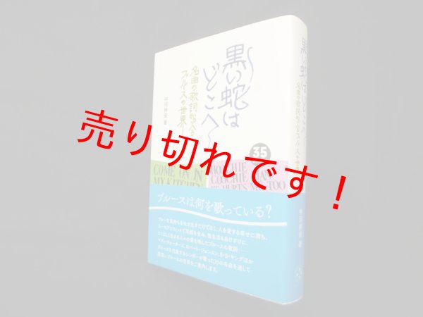 画像1: 黒い蛇はどこへ―名曲の歌詞から入るブルースの世界　中河伸俊 (1)