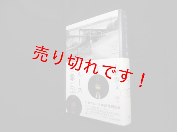 画像1: ブルース百歌一望 (ele-king books)　日暮泰文 (1)