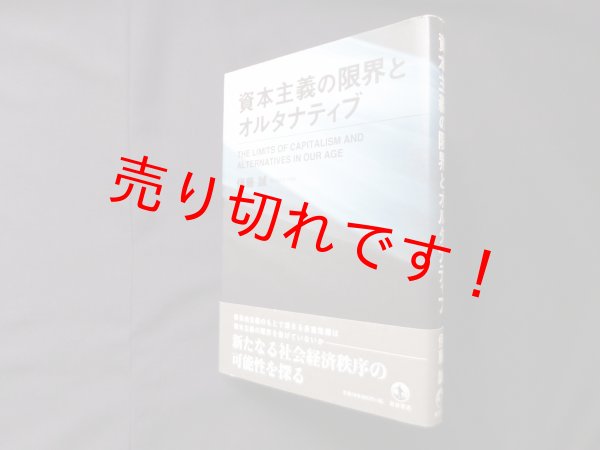 画像1: 資本主義の限界とオルタナティブ　伊藤誠 (1)