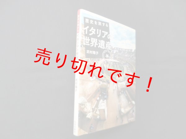 画像1: 歴史を旅するイタリアの世界遺産　武村陽子 (1)