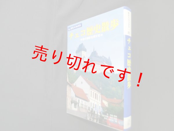 画像1: チェコ歴史散歩―中世の面影を残す町々  (旅名人ブックス 85)　沖島博美 他 (1)