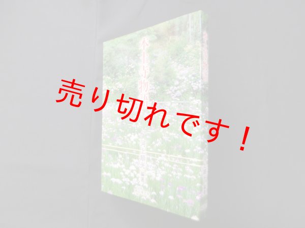 画像1: 本土寺物語　河上順光 (1)