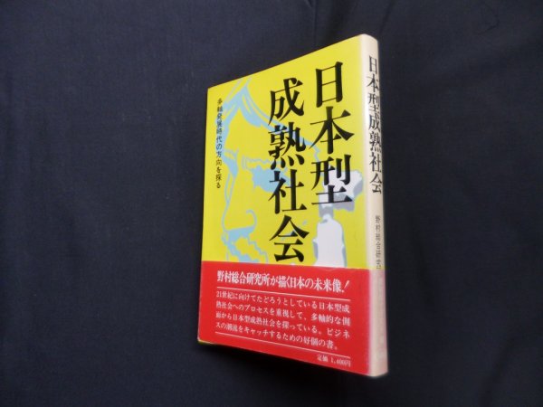 画像1: 日本型成熟社会　野村総合研究所情報開発部 編 (1)