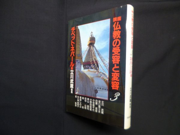 画像1: 講座仏教の受容と変容 3 チベット・ネパール編　立川武蔵編 (1)